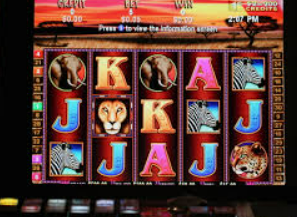 赏金国际vip登录入口手机版