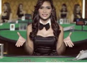 赏金国际vip登录入口免费版